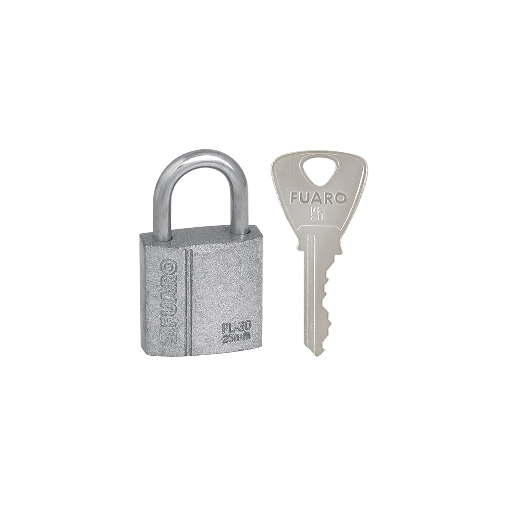 Фото Замок навесной PL-PROTEC-3025 2key (PL-3025) англ. /блистер